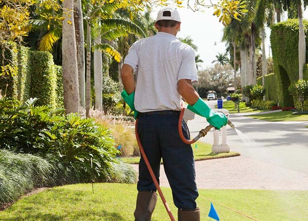 About Holly MI Pest Control